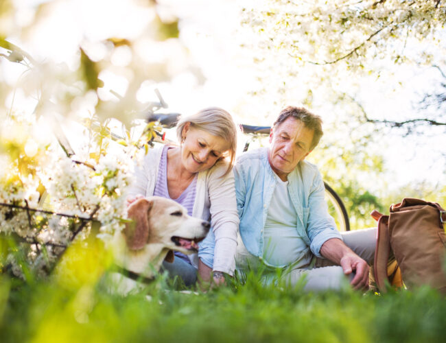 Subletting Your Holiday Home